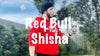 Red Bull Hookah Shisha